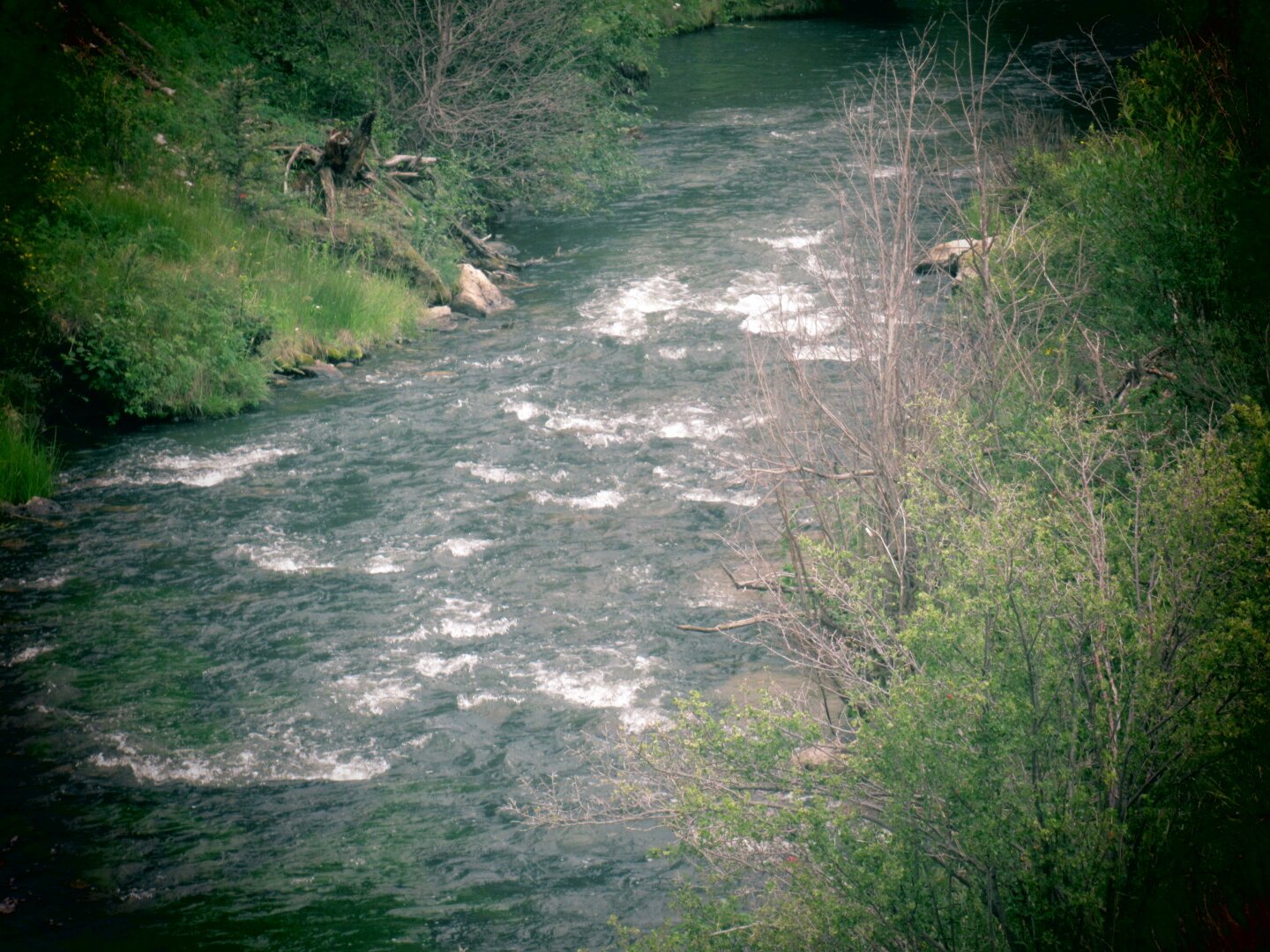 A picture of the Red River, from Red River, New Mexico.