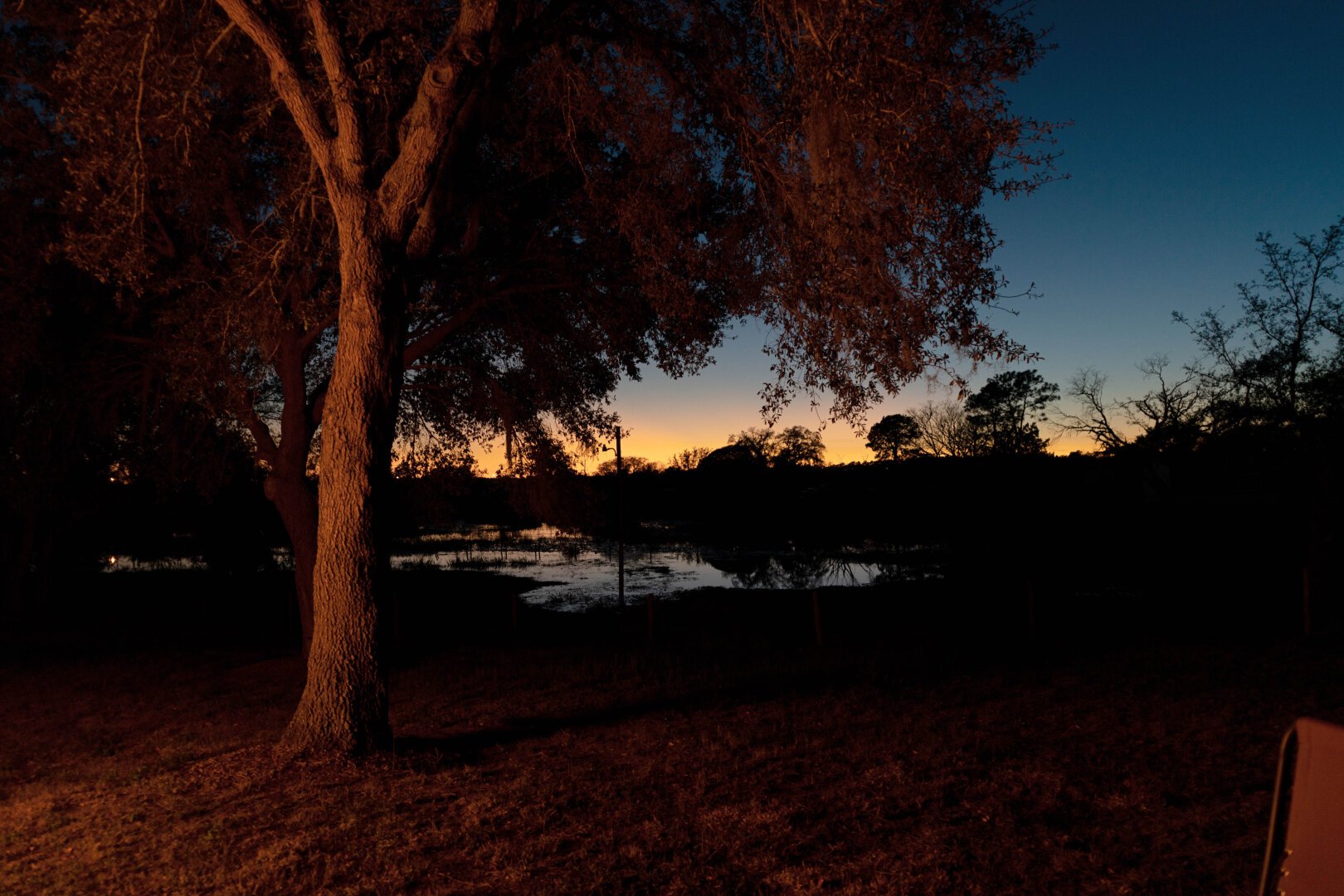 Sunset of barren land with a large oak tree. An orange hue is emitted from a bonfire behind the frame.