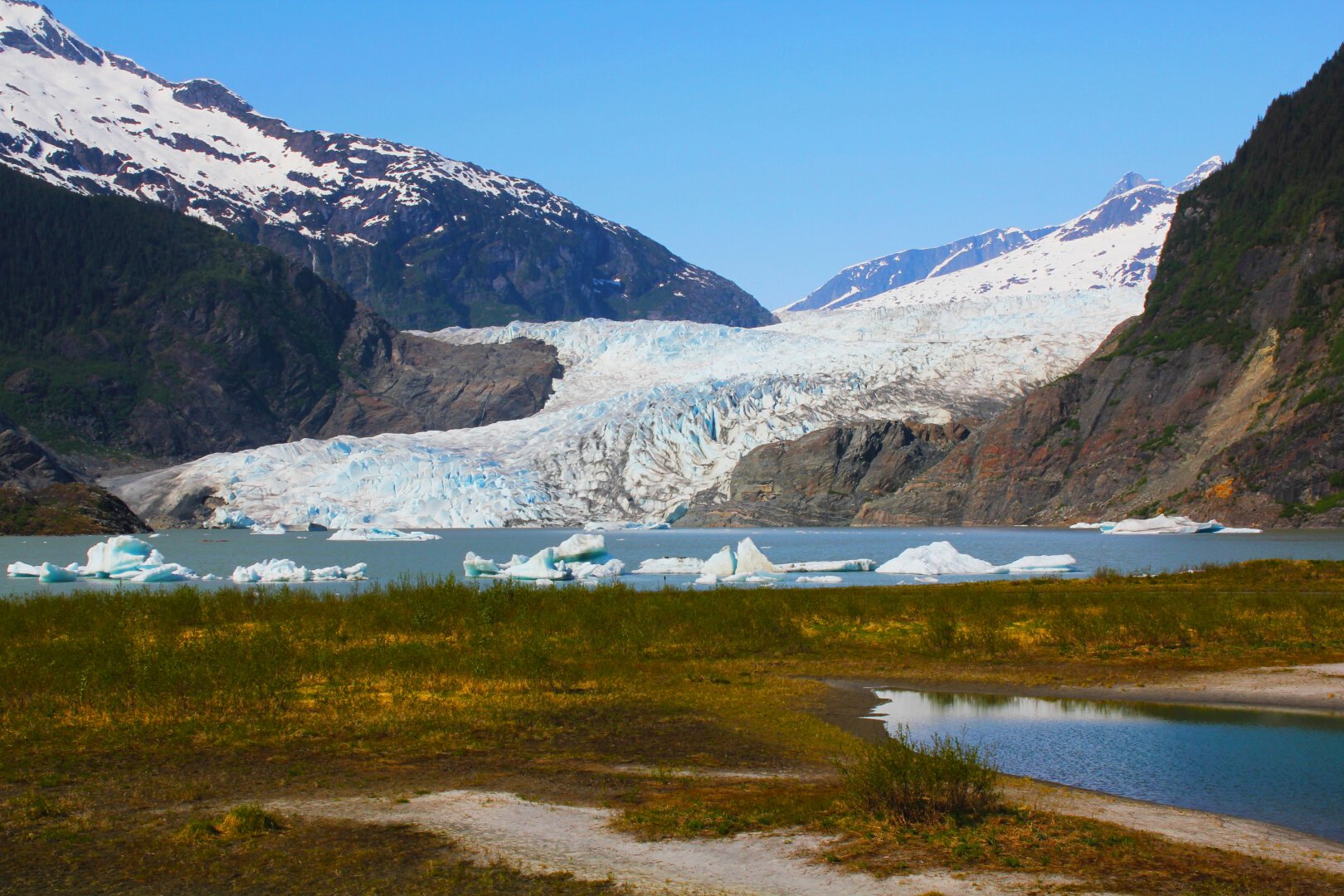 Image of Mendenhall Glacier, which is rigid with white and blue colors. A sandy and grassy landscape is in the foreground, and prominent rock face is surrounding the glacier.