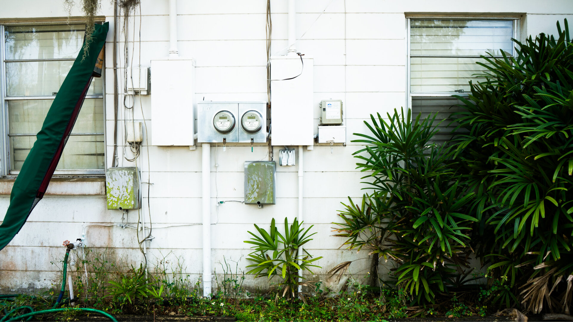 The side of a home painted in white, with palmetto bushels growing. A green umbrella leans across the windowsill.