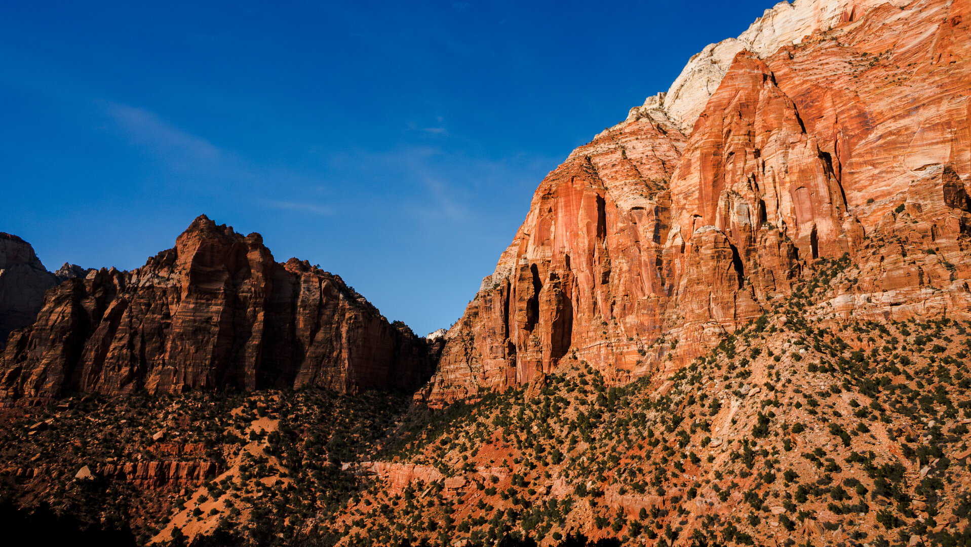 Canyon walls with shrubs growing out of the cracks reach up to the clear sky. The landscape appears as a zigzag.