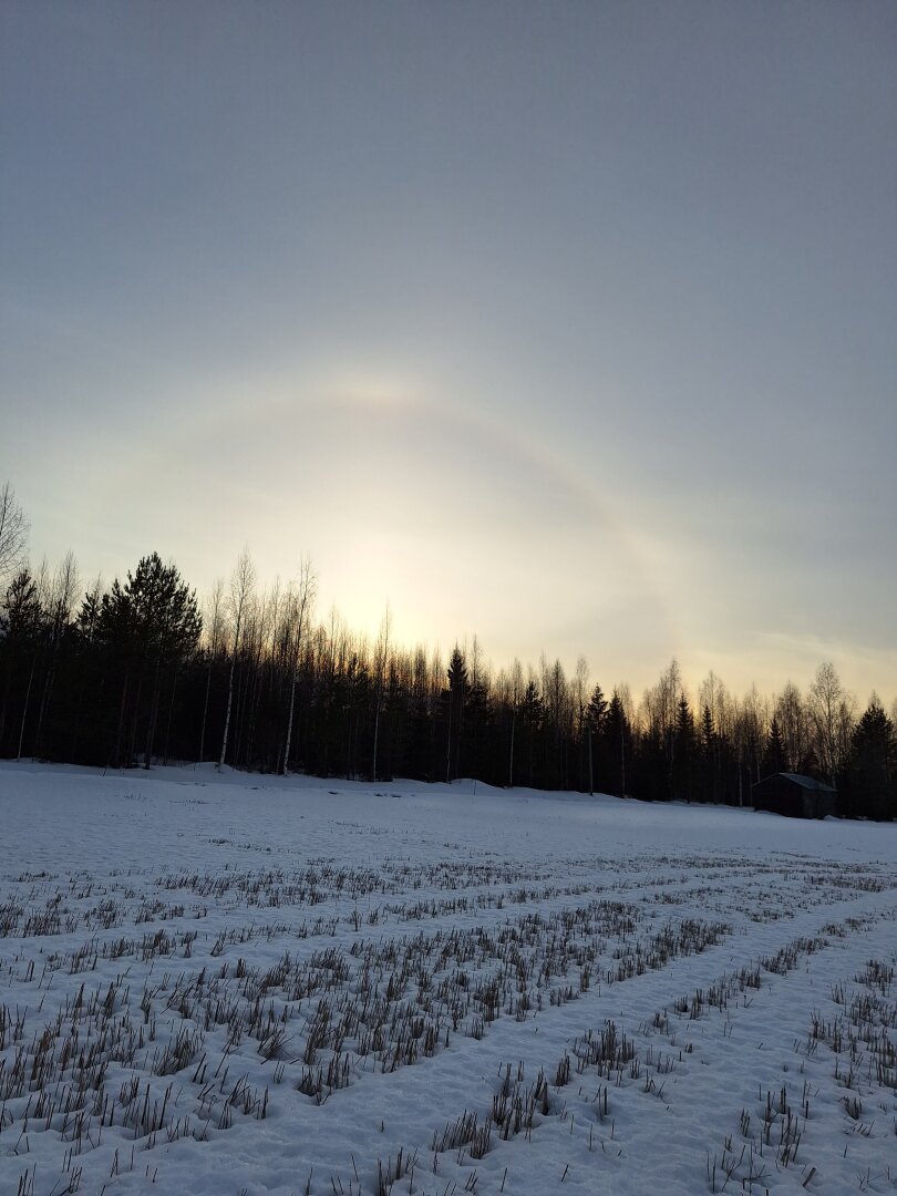 Halo auringon ympärillä