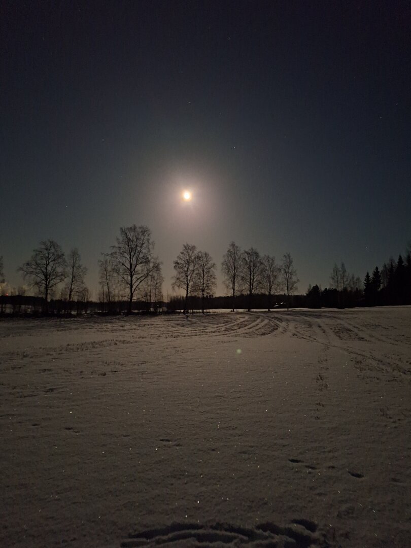 The Moon is shining behind a treeline in a snowy landscape.