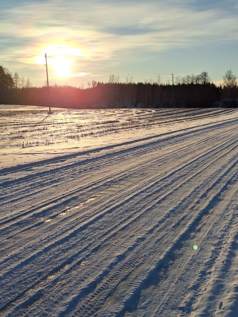 A sunny and snowy landscape