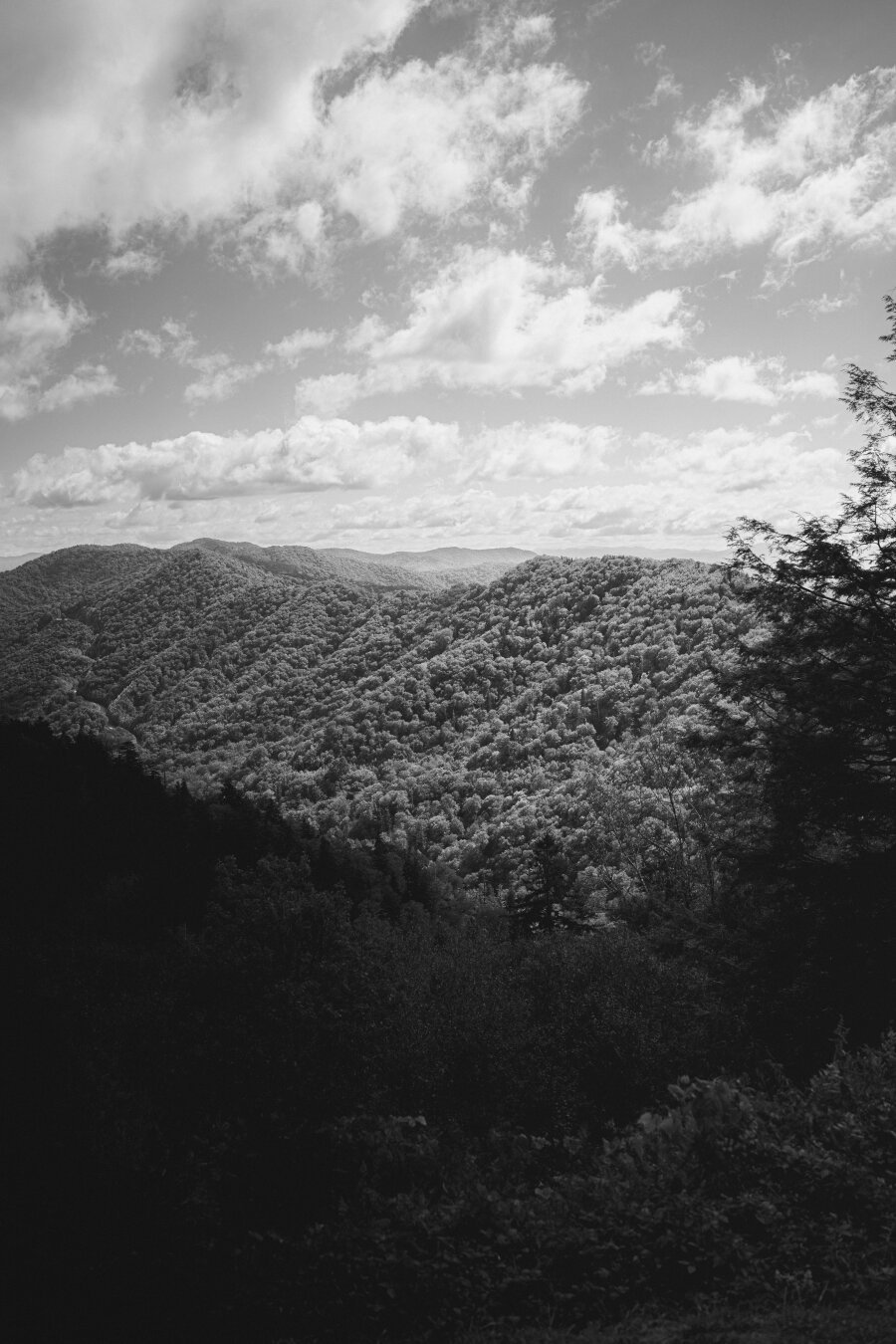 Black and white photo of the Great Smokey Mountain range