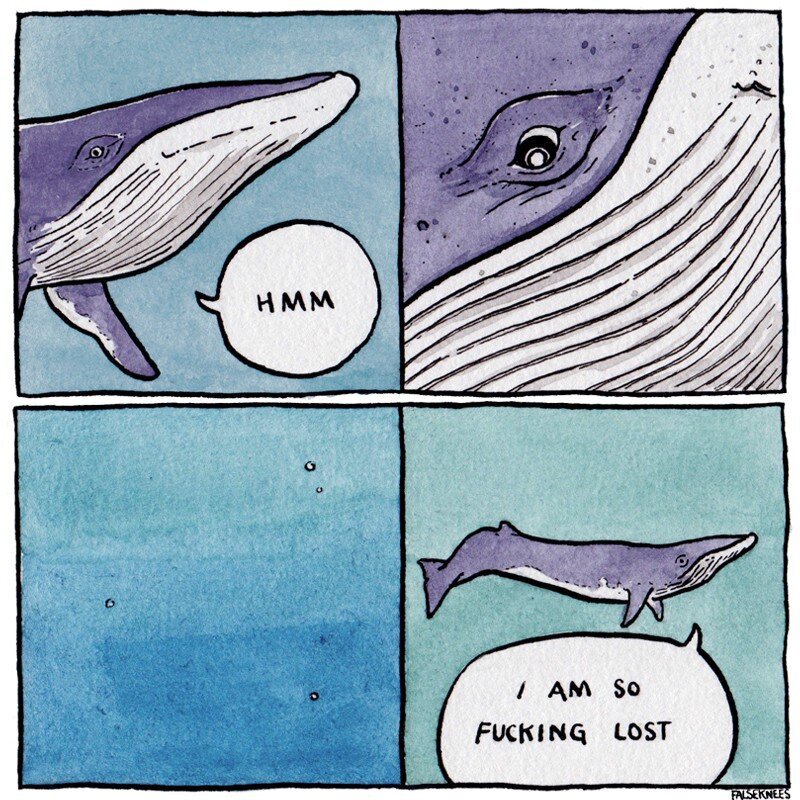 Panel 1: humpback whale speaking to itself 