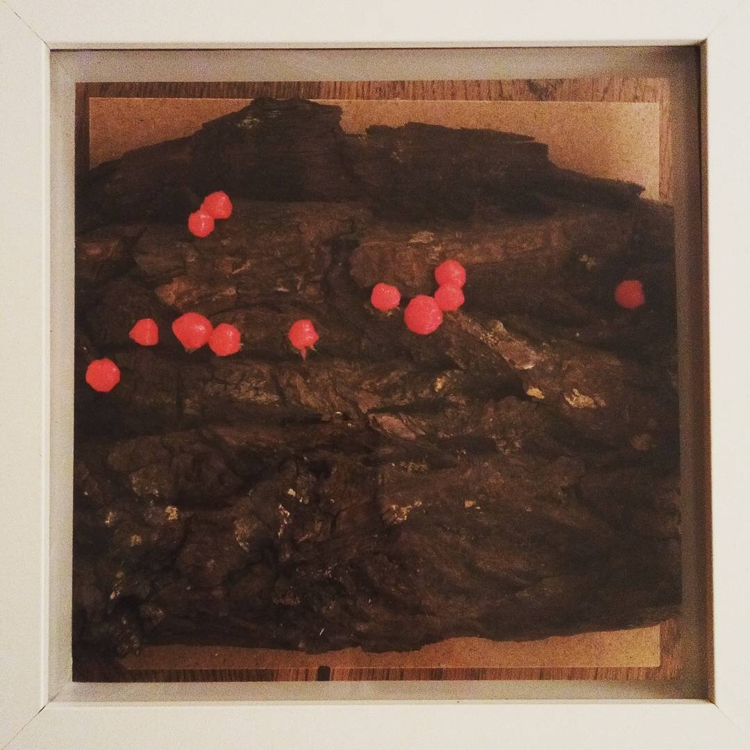 An unfinished sculpture of red slimemolds on a bark texture, placed inside a wooden frame. The slimemolds should light up but are not connected yet so their metal pins are visible in some places.