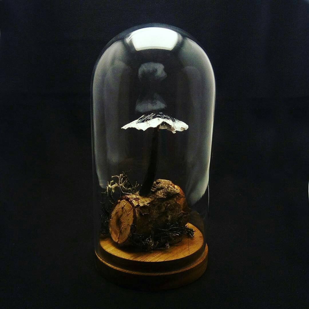 A black-and-white mushroom sculpture set on a piece of real wood, mounted on the wooden base of a glass cloche. The background is black, and the cloche is outlined by a strong white light that overcasts the entire scene.