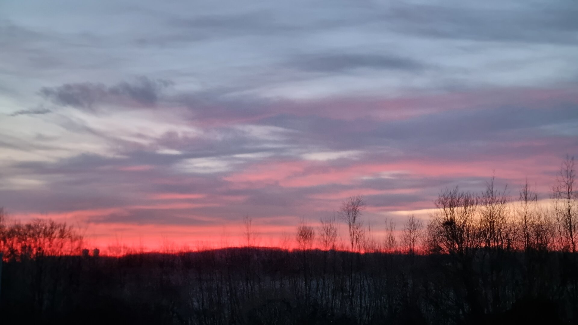 Morning sky. Trees and bushes in the dark, pink/orange sky, going to purple clouds. Pale blue sky above.