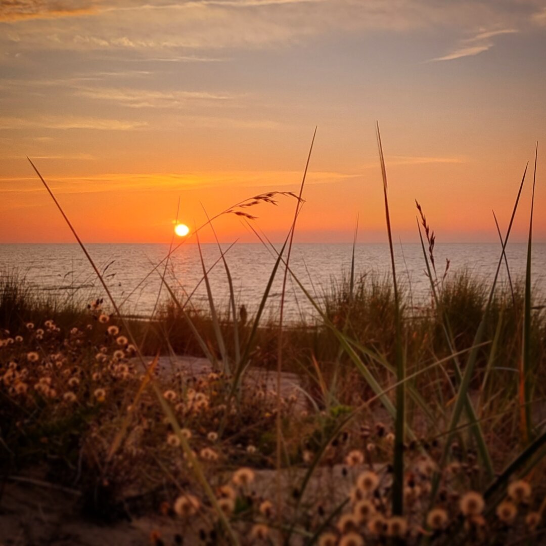 Sonnenuntergang am Meer. Im Vordergrund Dünen, dahinter Meer und orangefarbener Himmel mit einer tiefstehenden Sonne.