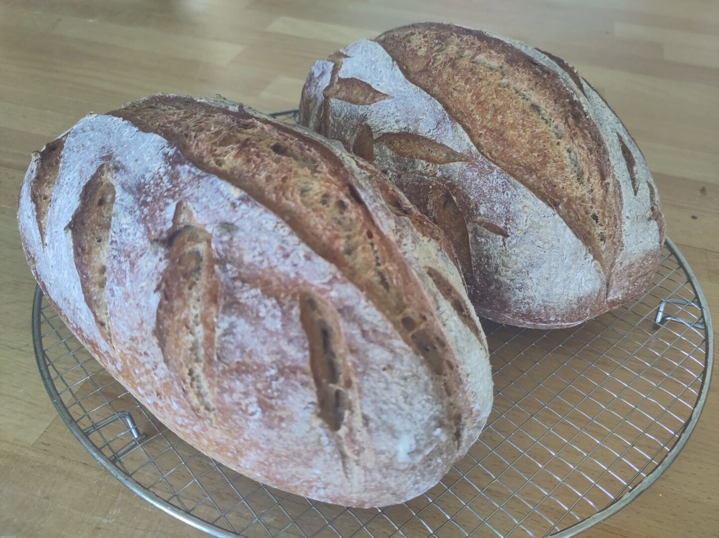 Two golden brown sourdough loaves on a circular cooling rack.