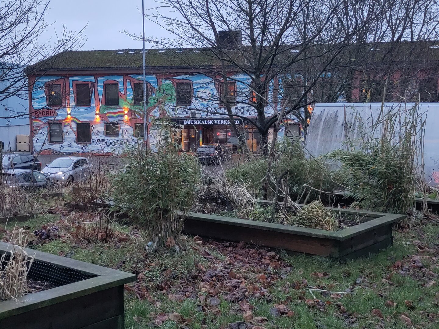 Winter quiet in an urban garden with a graffiti art building in the background. A sign says Pådriv, which is the name of the organisation running the urban garden. over the entrance is a sign saying Musikalsk Verksted.