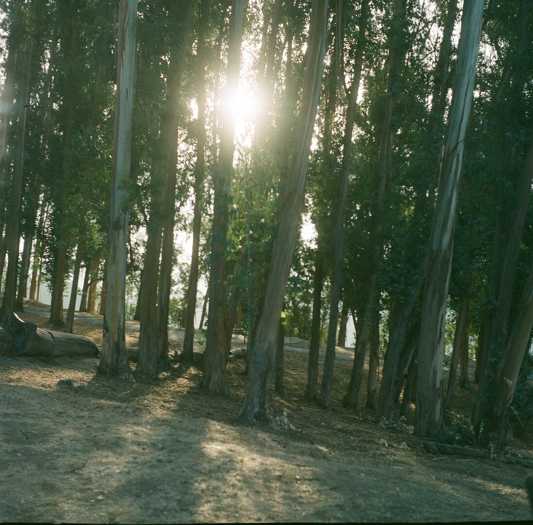 Photo was not tagged with any alt text.