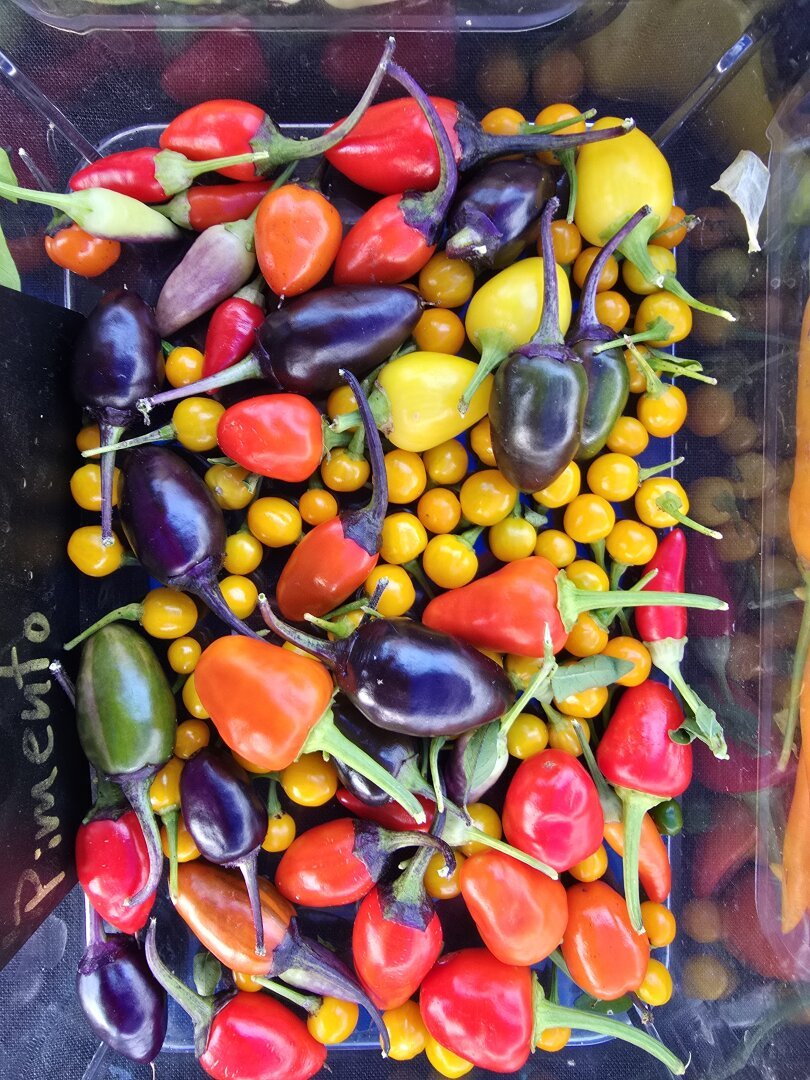 a bun of peppers of all shapes, sizes, and colors.