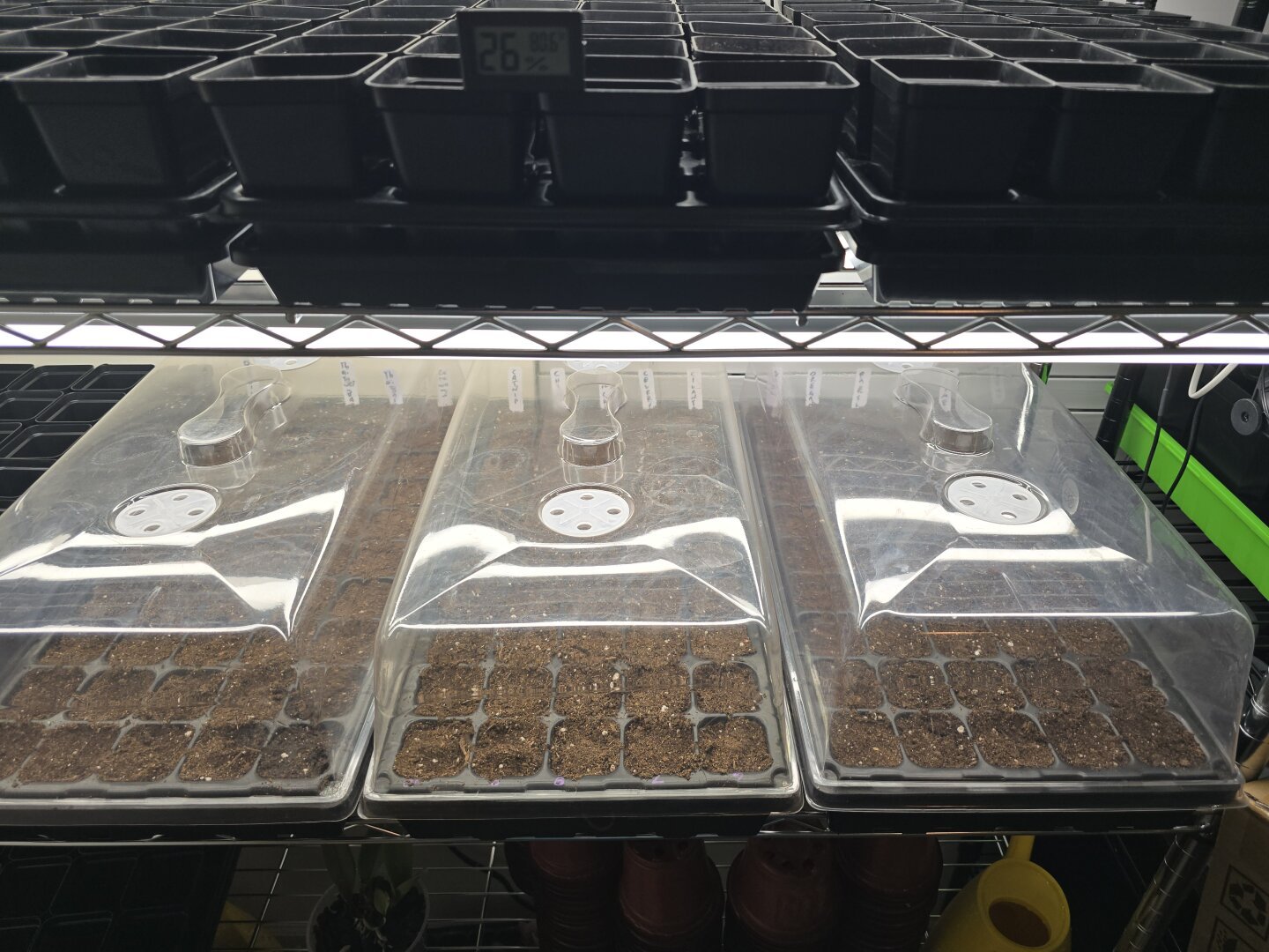 150 seed starting cells filled with soul and herbs seeds. white plastic rectangular tags label rows. each 50 cell tray is covered with a humidity dome. a thermometer says 80°F