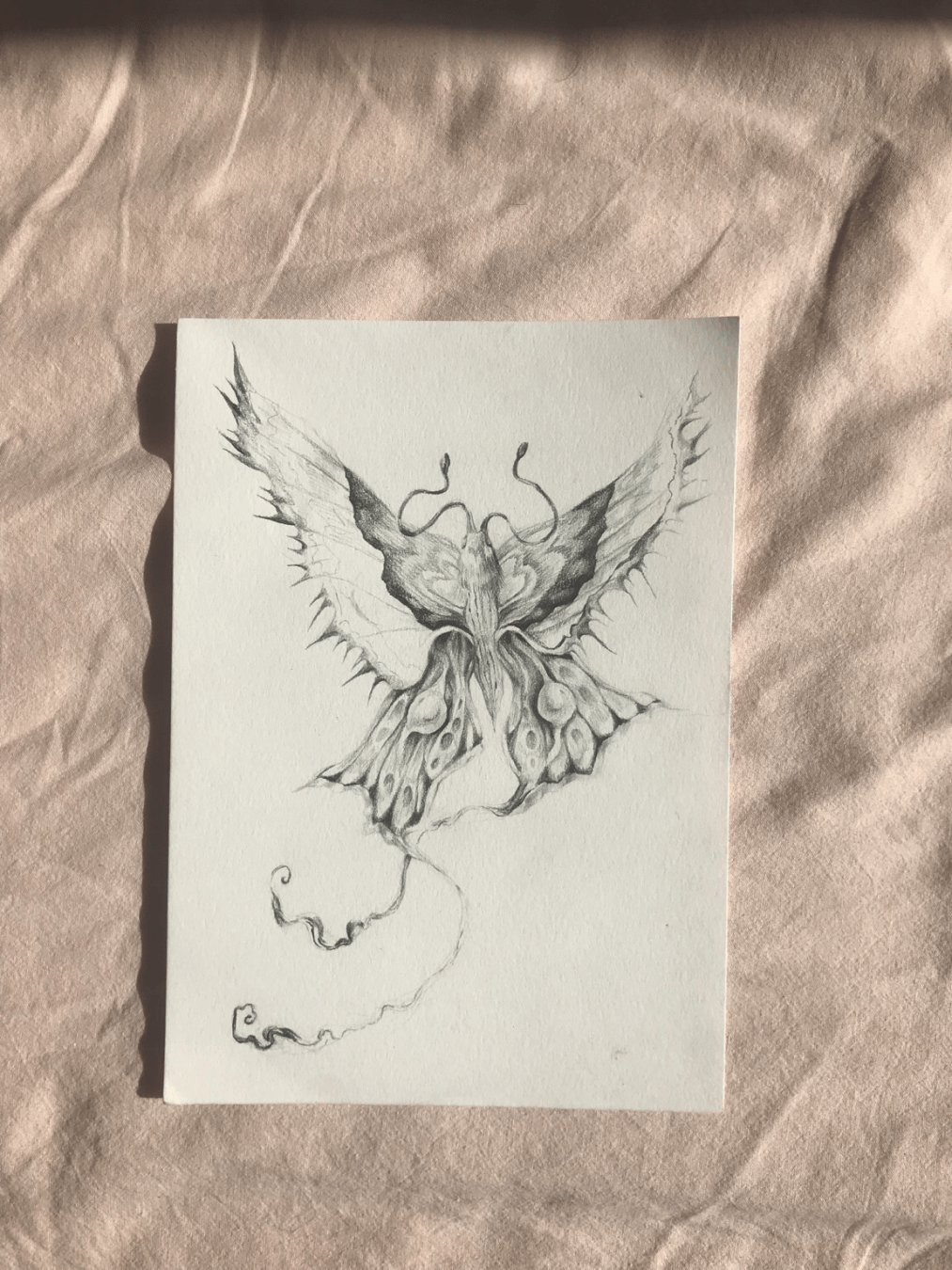 A drawing of a butterfly