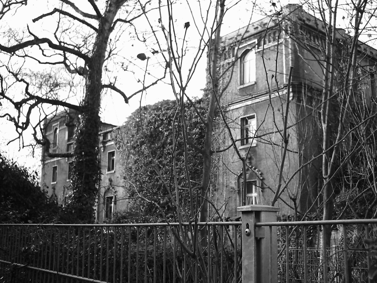 Das Bild zeigt ein Gebäude im Tudorstil mit einem zweigeschossigen Mittelteil und an den Seiten je einen dreigeschossigen Teil. Der Mittelteil ist über die Hälfte mit Efeu überwuchert. An einem Fenster im rechten Flügel hängen noch Gardinen. Das Foto ist schwarz-weiß. Im Vordergrund sind einige kahle Bäume. hinter einem modernen Metallzaun. Es ist bei Tag aufgenommen worden.