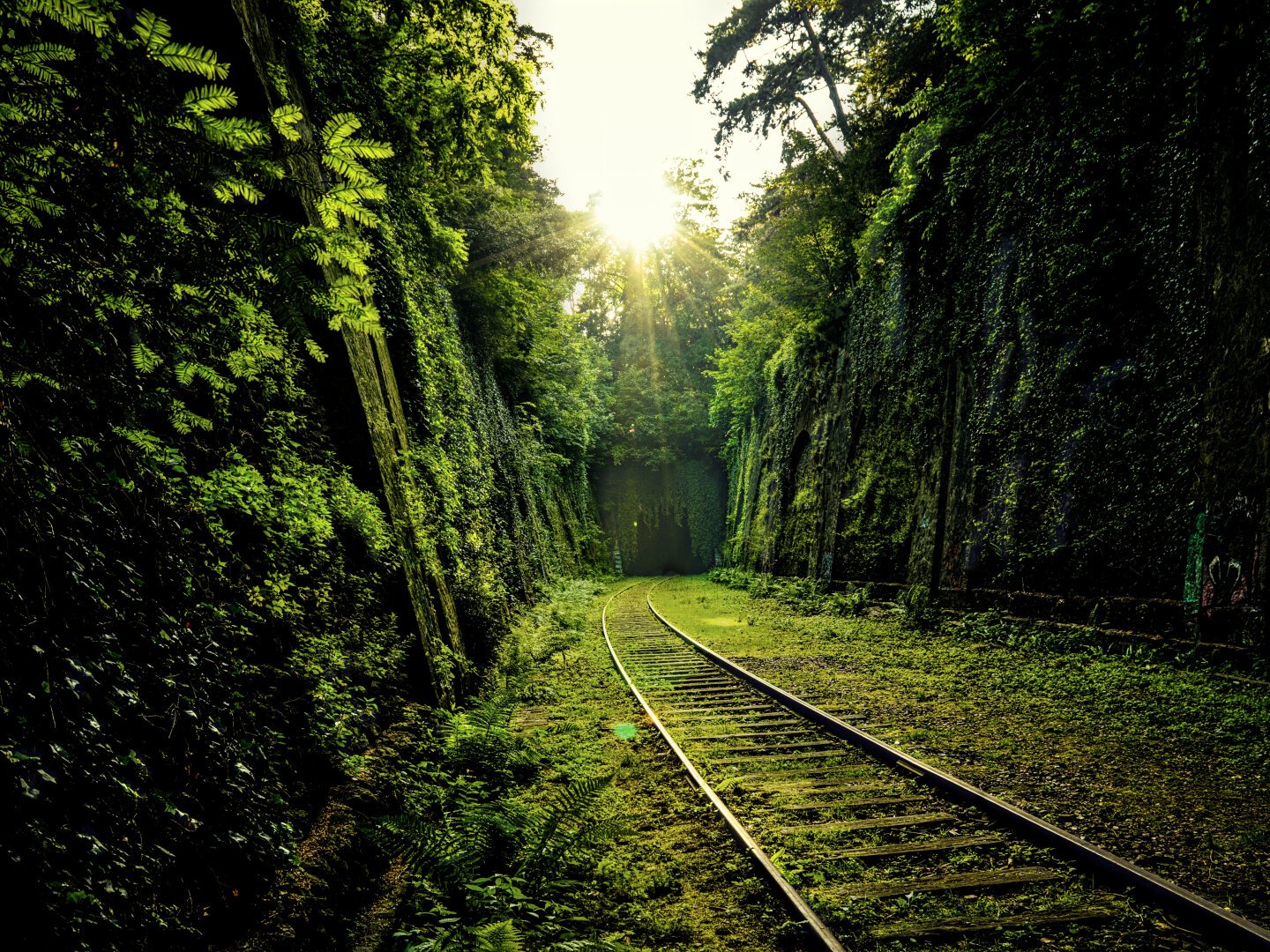 An abandoned railroad between vertical walls, covered by nature, not long after humans and their heavy machines have deserted the area. The green is everywhere, the Nature claims every rock, every brick of stone, as the sun sets in the middle of the frame, behind the vaults of a forgotten tunnel.