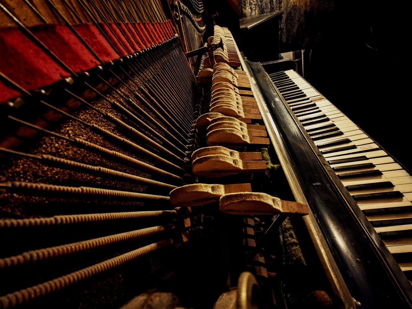 An old piano collecting dust, showing his wooden hammers and rusting strings.