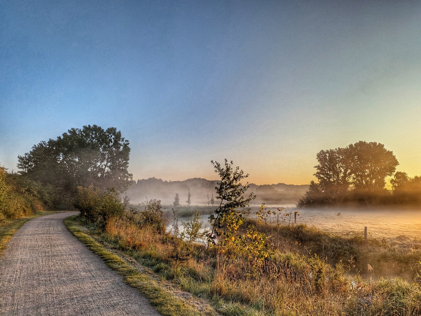 Trees, a trail next to a stream and pasture, sunrise
And fog on the ground