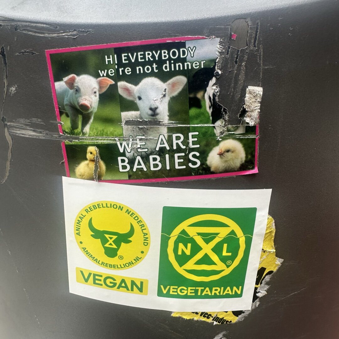 AR and XR collab sticker on garbadge bin