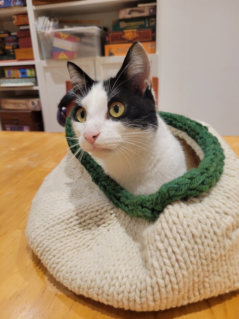 A cat sitting in a knitted coccon