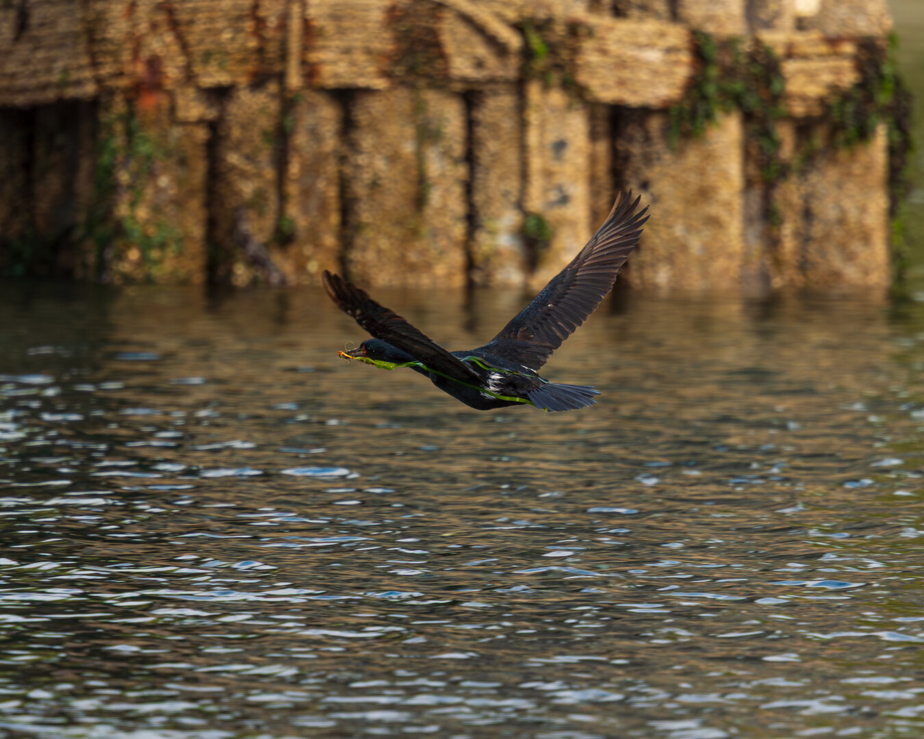 Posted media