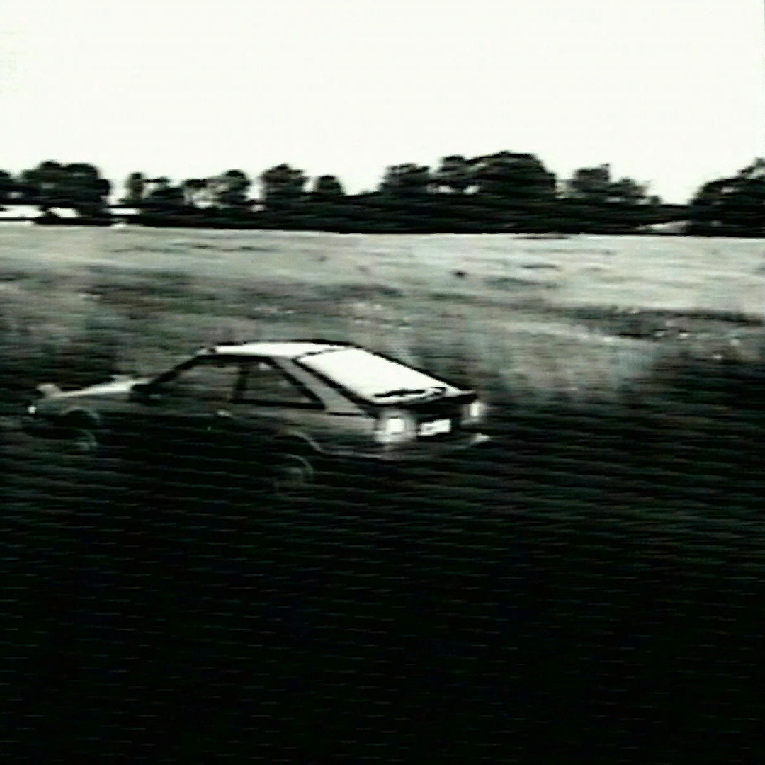 Posted media