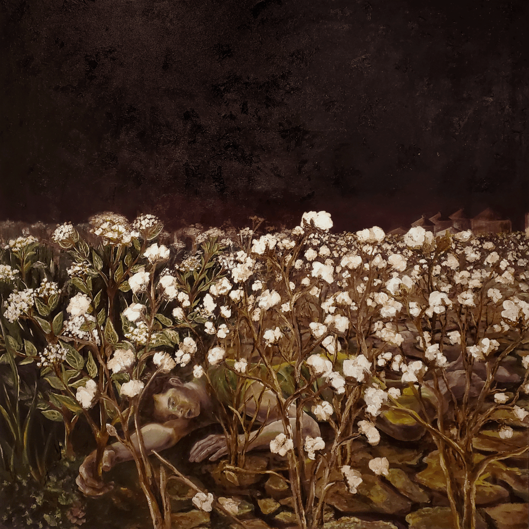 Gloomy painting of a man laying unconscious in a field of cotton. The soil is degraded and cracked.