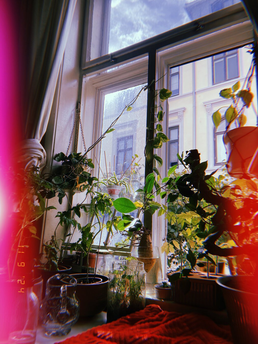 An aesthetic picture of a window taken from inside with different potted plants in the windowsill. The picture has some red lens flare effect vertically on the sides.