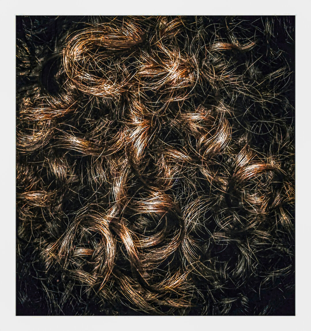 This photo is a close-up shot of a mass of dark brown, curly hair (mine). The strands are tightly interwoven helping to create a dense and textured surface. Some strands are highlighted while other are in shadow creating some depth. This photo is a close-up shot of a mass of dark brown, curly hair (mine). The strands are tightly interwoven helping to create a dense and textured surface. Some strands are highlighted while other are in shadow creating some depth.