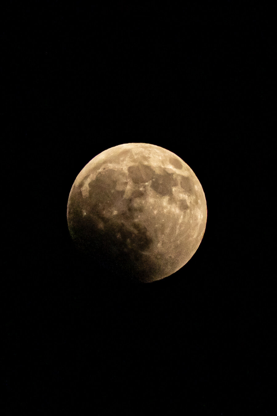 A photograph of a partially eclipsed moon taken a couple of hours ago.