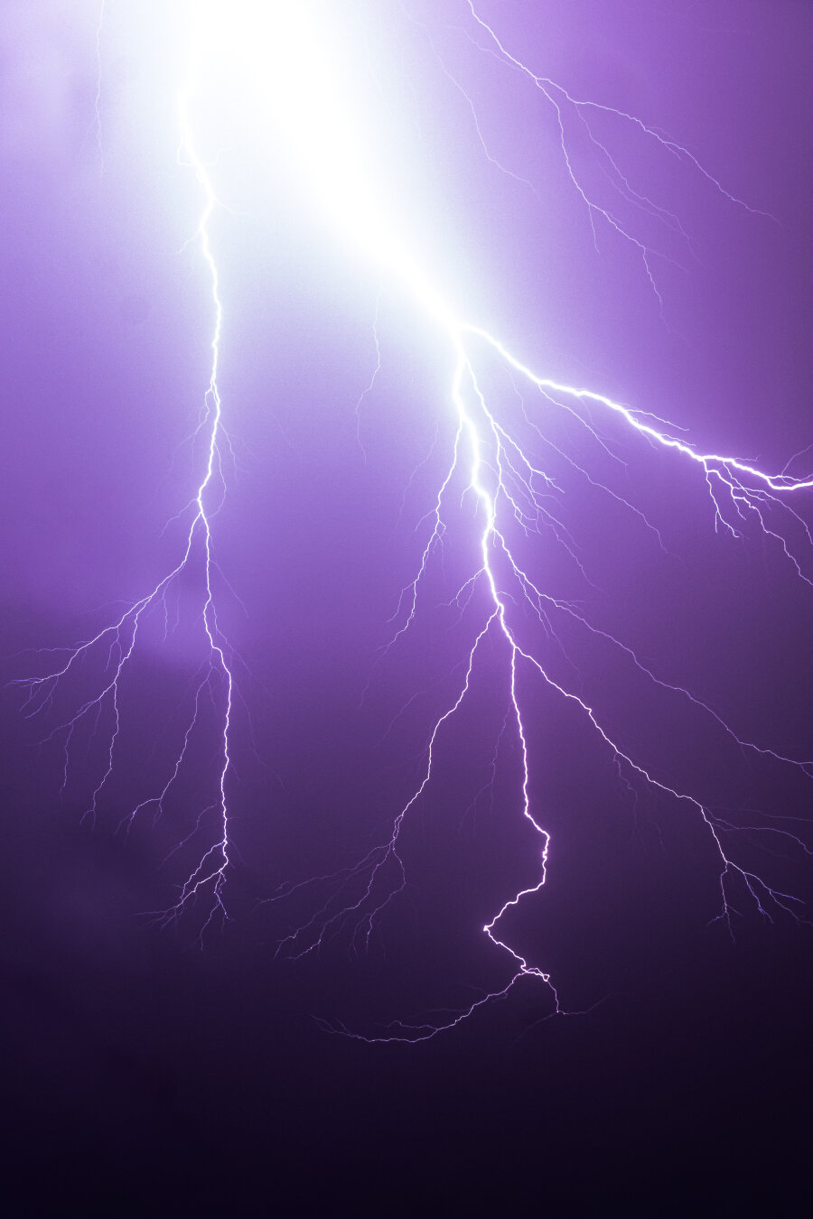 A photo of some forks of white/purple lightning.