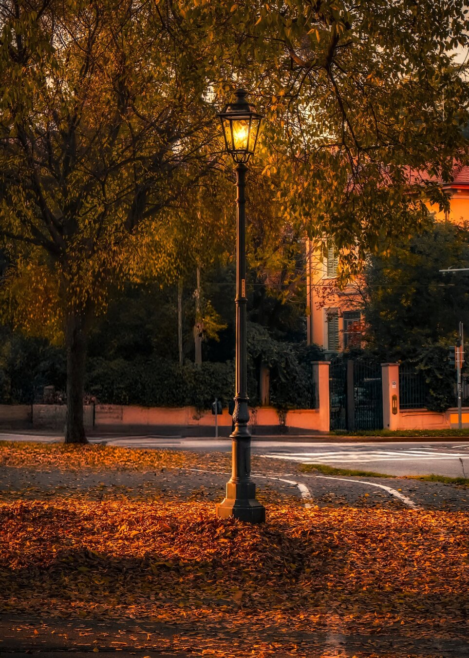 This is a photograph of a vintage-looking black lampost with a warm light in the middle of the frame (between us, wasn't really lit - I added it in post 😂). The ground beneath it is thickly carpeted with fallen autumn leaves that are orangey/red. In the background, there is a quiet street which goes past a building.