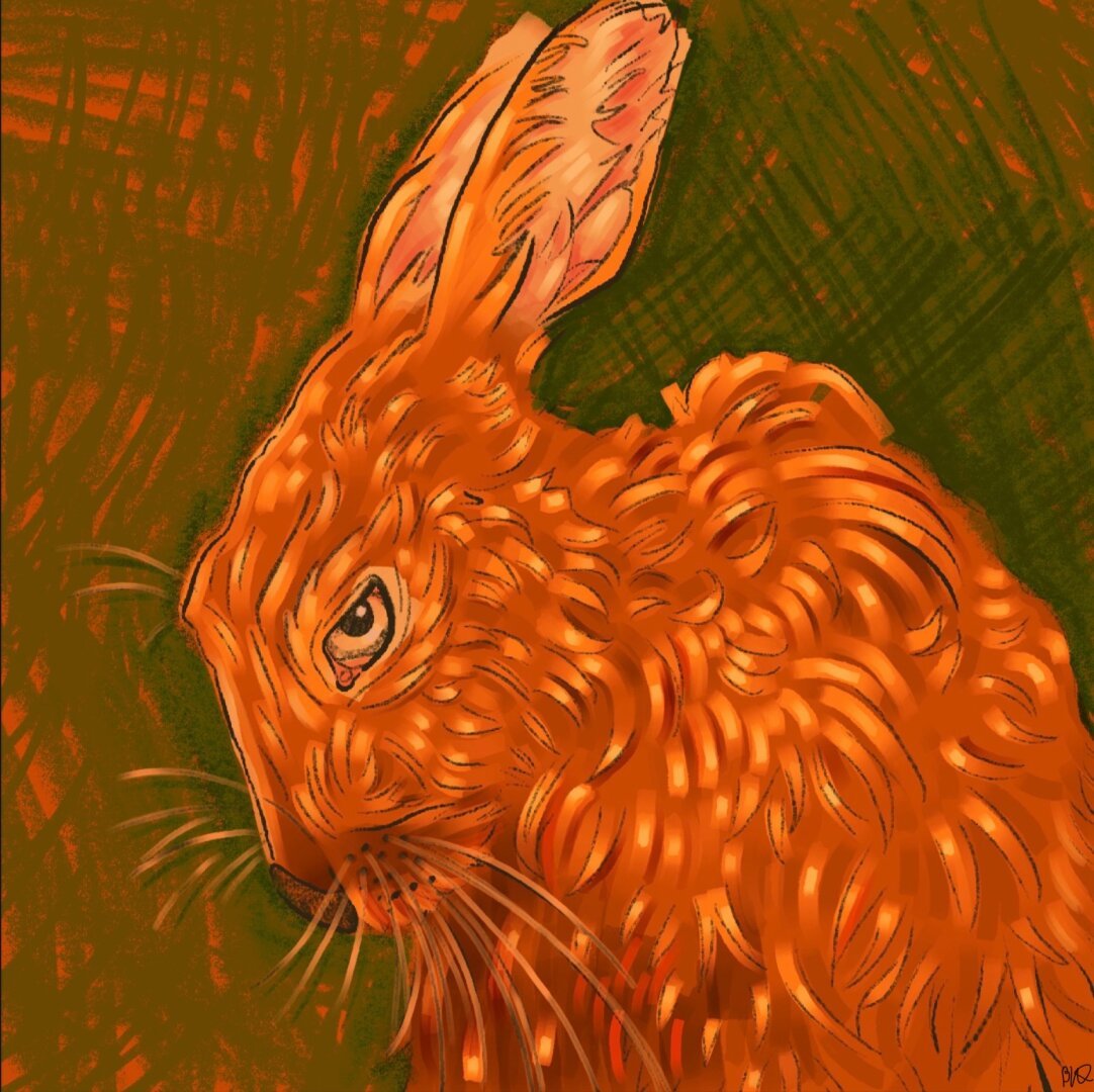 Picture of angry orange rabbit on green background
