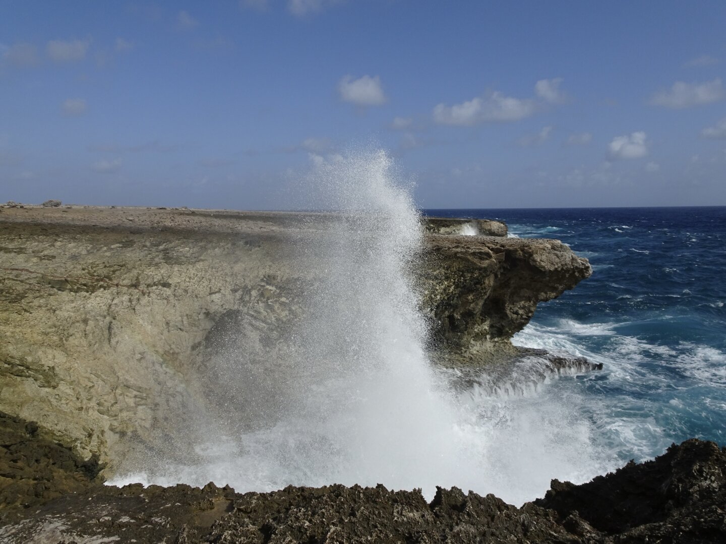 Water syringes up on a small cliff on Bonaire‘s coast