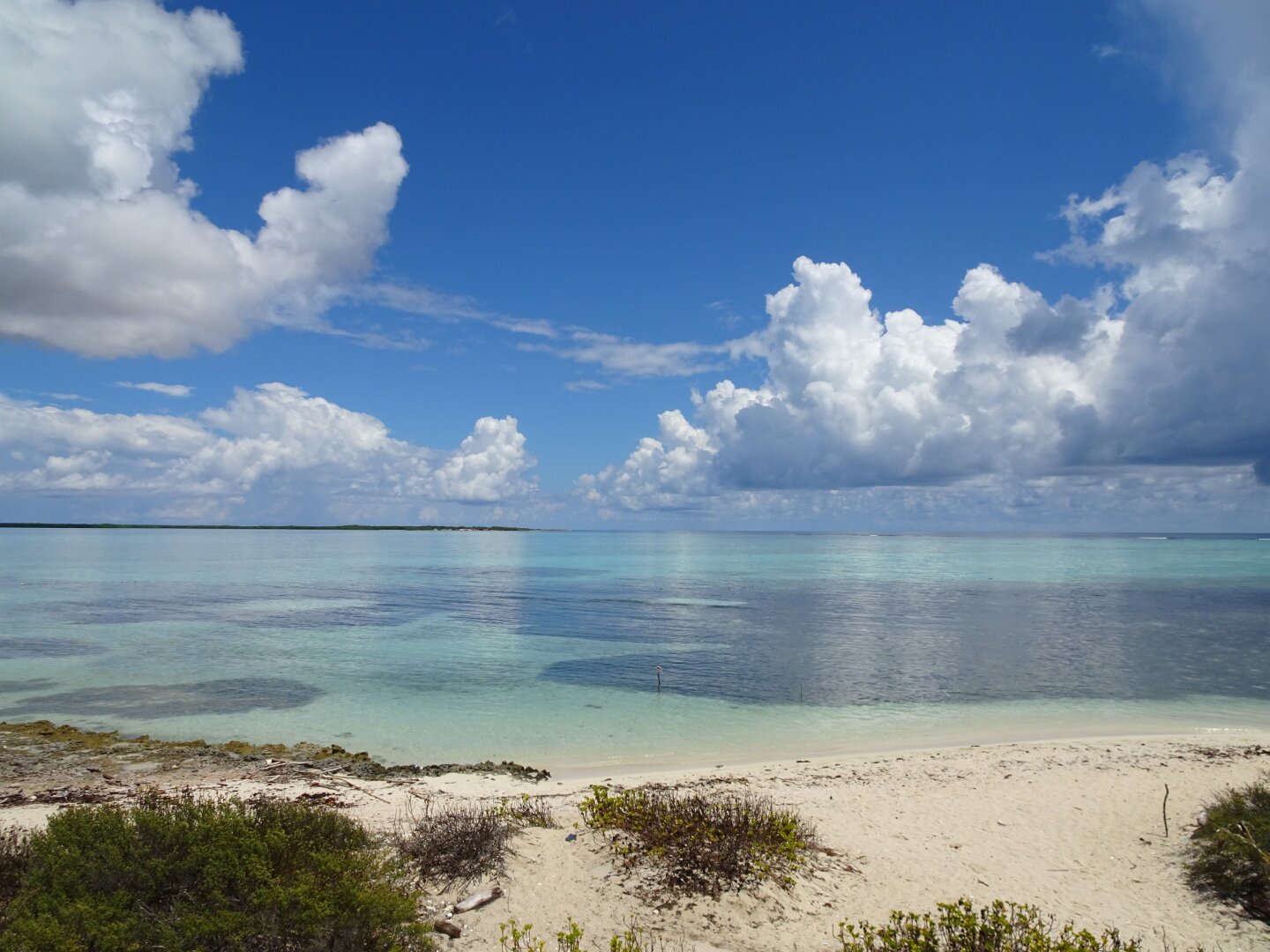 A beach with shallow water on Bonaire