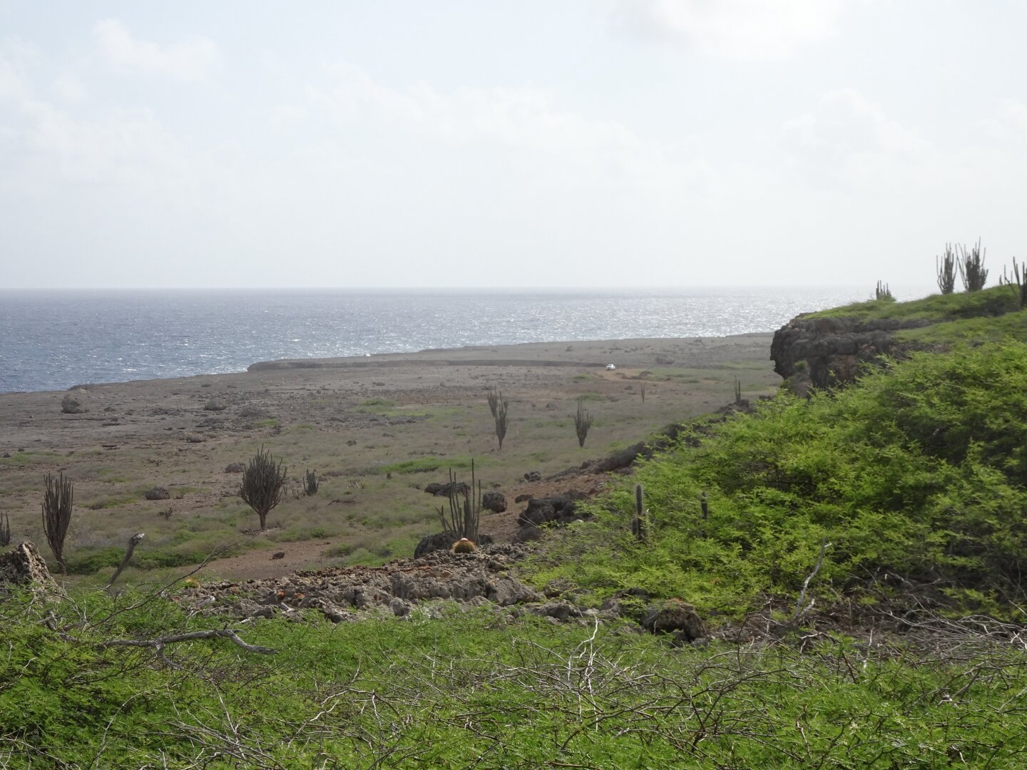 The coast in Bonaire’s national park.