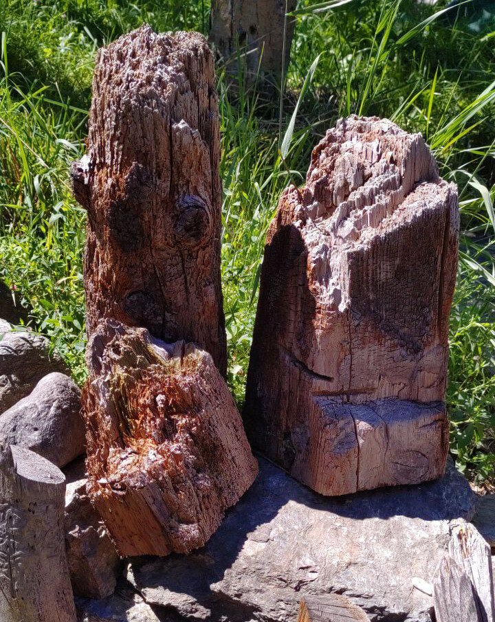 rotting wood sculture