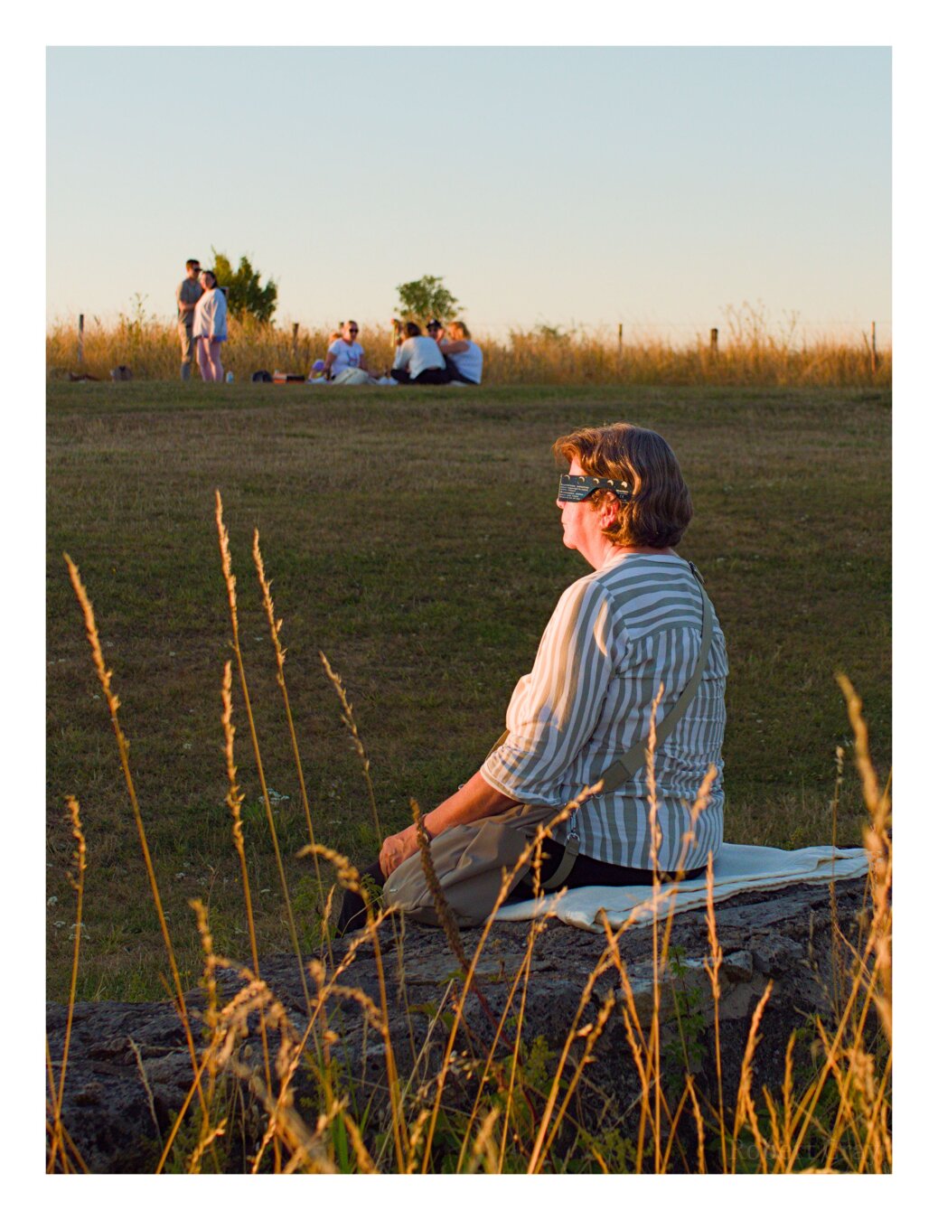 A middle aged lady in a white blouse wearing bulky sunglasses sits in profile looking up at the sky. In the foreground a long golden stalks of grass which catch the sunlight. In the background and somewhat out of focus is a group of people having a picnic.