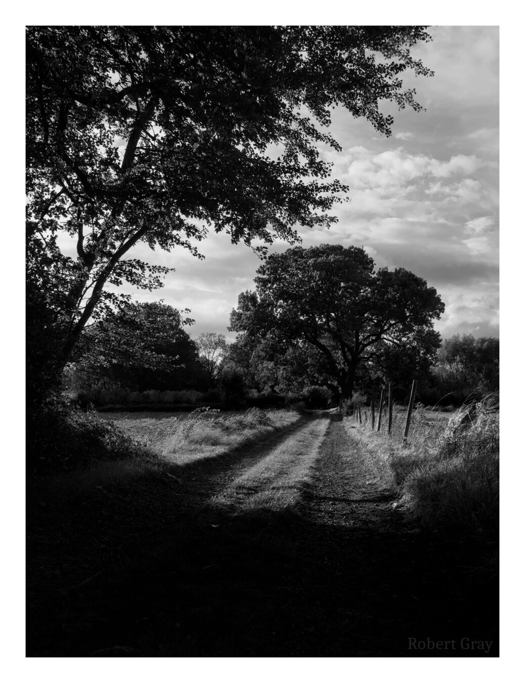 View down a rough track with a large tree at the end. The scene is framed by dark branches of another tree in the foreground. A moody sky with big, puffy clouds is visible in the background.
