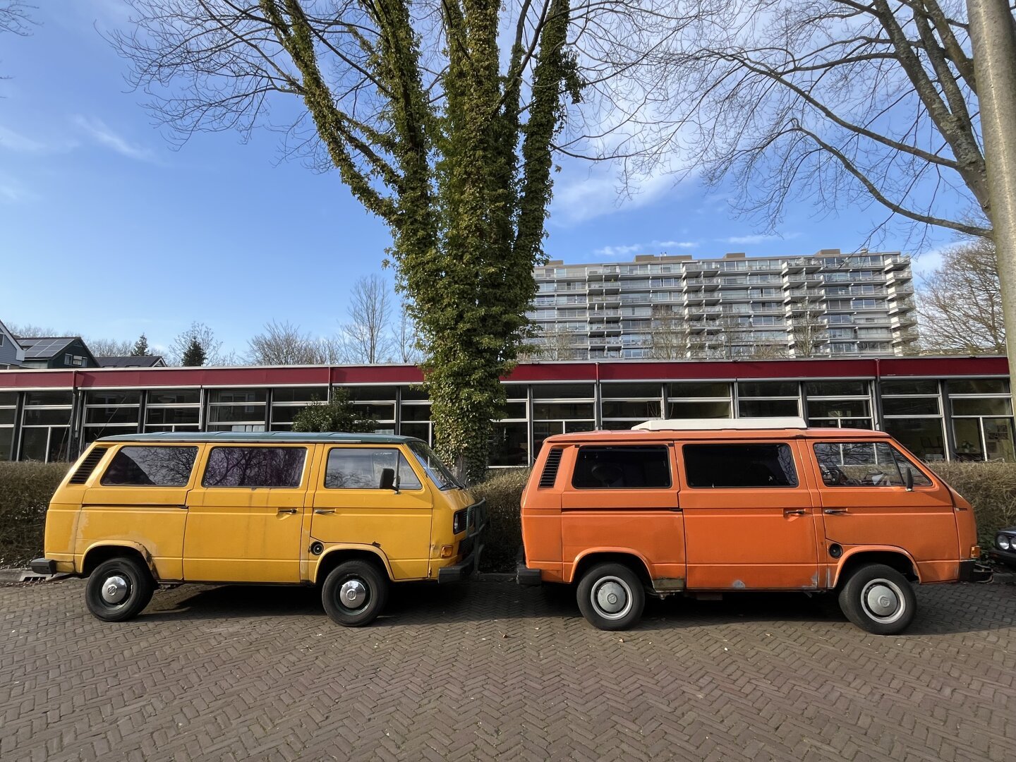 Two Volkswagen T3, one yellow, one orange