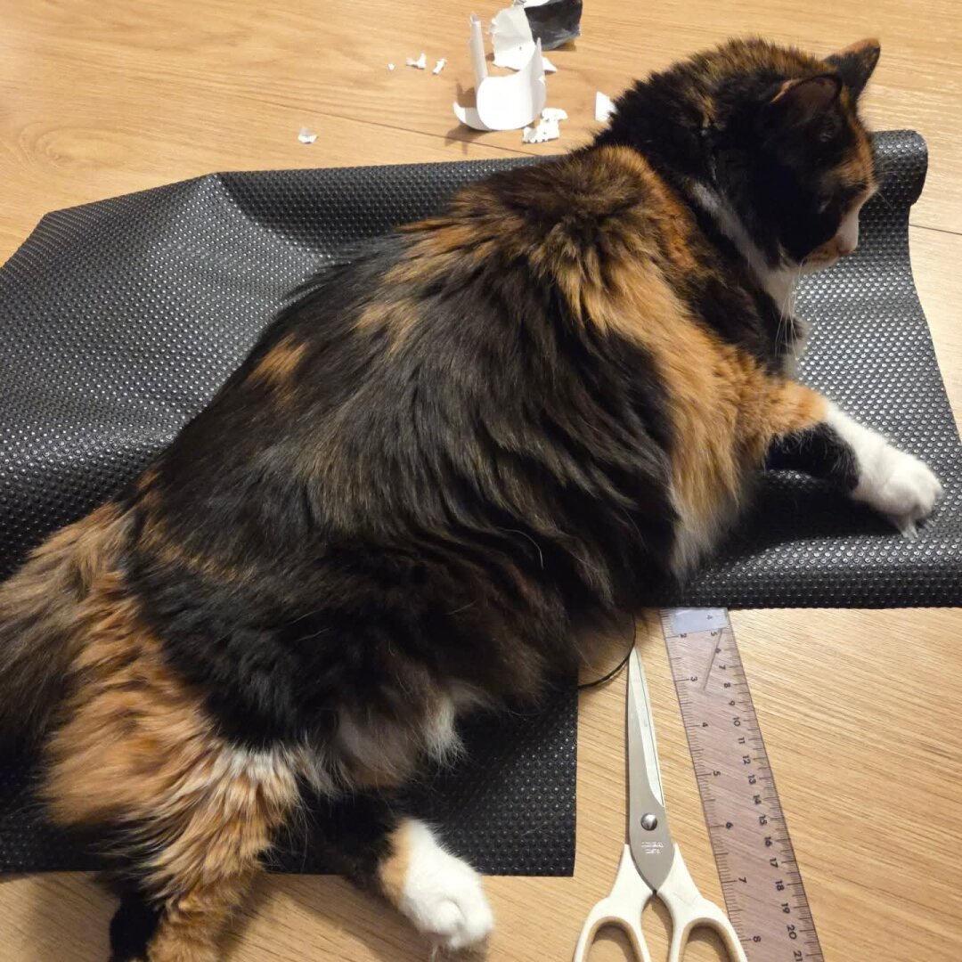 Calico cat sprawled across a sheet of textured black material on the floor, pinning it down beside a pair of scissors, a ruler, and torn paper scraps.