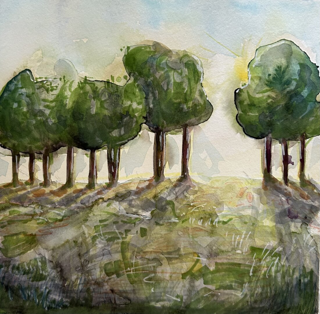 Experiment with watercolor