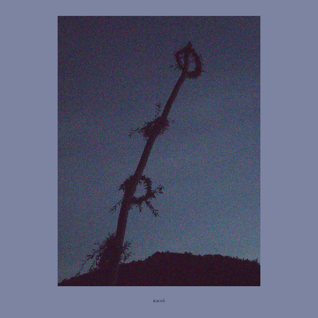 An assembly of foreground and background, artificial and natural - erected through joint efforts resisting against the natural way of life, it seems. A bending moment of resurrection.