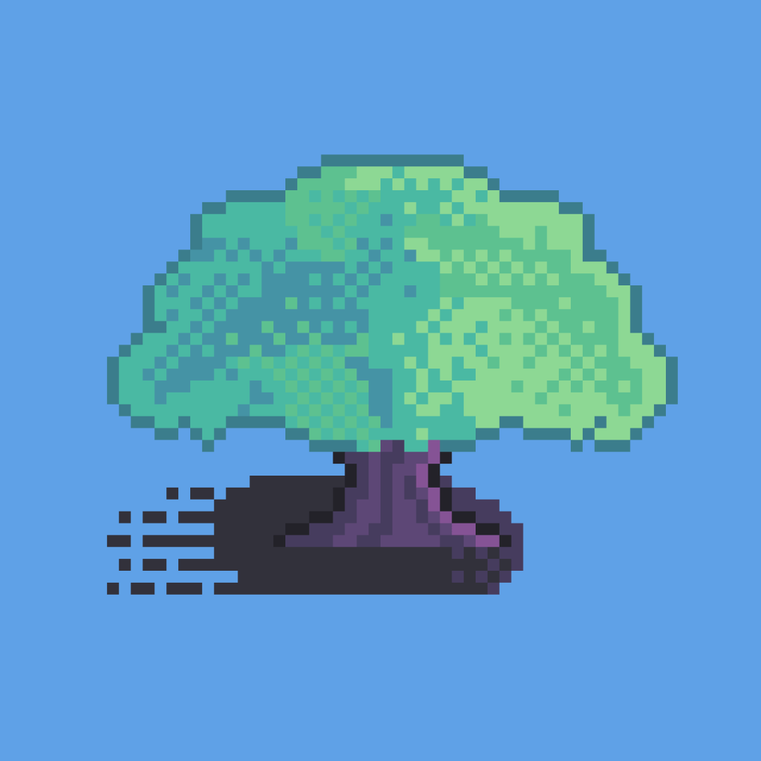 A Green "Guanacaste Tree" with a shadow