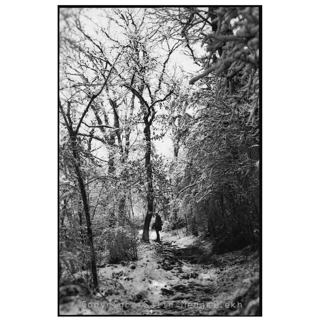 C'est une photographie en noir et blanc de paysage de neige dans une forêt dans laquelle un personnage est arrêté sur un sentier. Celle-ci se retourne lorsque la photographie a été prise. On l'aperçoit plus qu'on la distingue c'est un homme.  Il fait sombre mais il y a un léger rayon de lumière qui traverse la végétation. Le noir et blanc fait ressortir le contraste de la neige sur les arbres et la végétation.
This is a black and white photograph of a snowy landscape in a forest in which a figure is standing on a path. This person turns around when the photograph was taken. You can see it more than you can see it - it's a man.  It is dark, but there is a slight ray of light coming through the vegetation. The black and white highlights the contrast of the snow on the trees and vegetation.