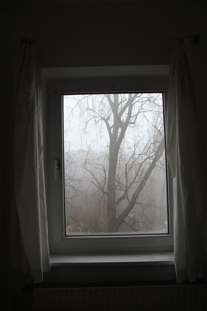 Blick durch ein Fenster von innen nach Außen. Obwohl Wände und Gardinen weiß sind, wirkt es dunkel. Draußen steht in Baum im Nebel.