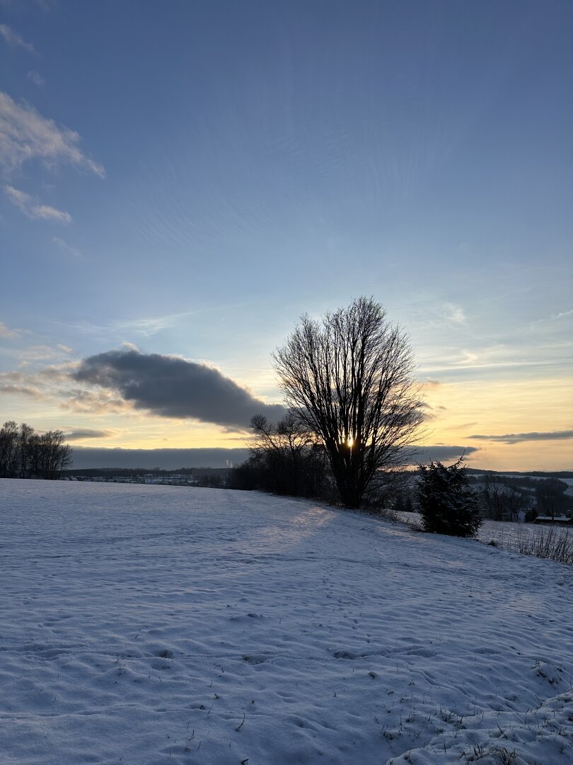 Winter landscape, it is late afternoon nearly sunset. You can see there is snow in the foreground the view focuses on a leafless tree. Behind it there is orange yellowish light, the sky is a clear blue with some single clouds. When you see the picture you might feel it is quite cold and clear outside.