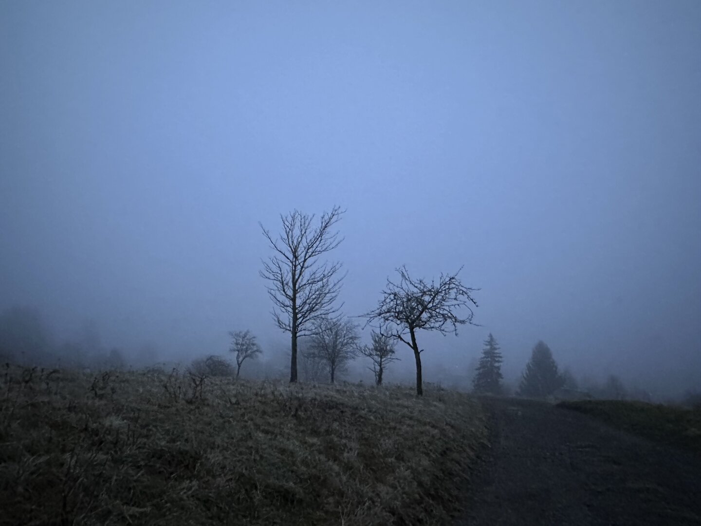 An empty foggy landscape in the late afternoon right before sunset.
A small path leads towards a group of leafless trees. In the distance there are some more trees but also more fog so you won’t see much of them.